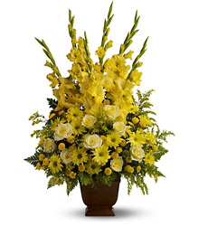 Teleflora's Sunny Memories from Victor Mathis Florist in Louisville, KY